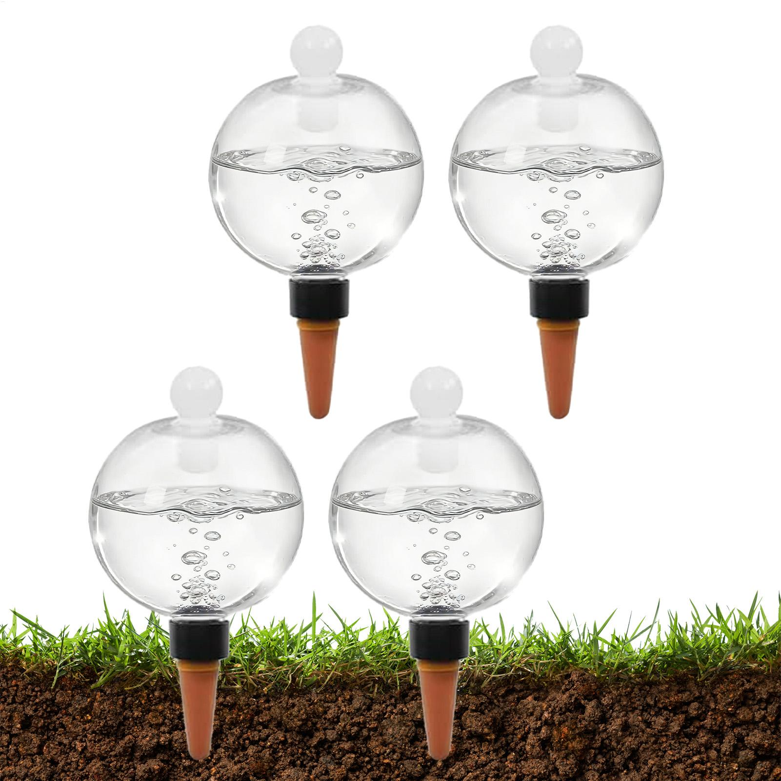 Plant Watering Bulbs 4pcs 500m - Echeveria Succulent 评论和价格