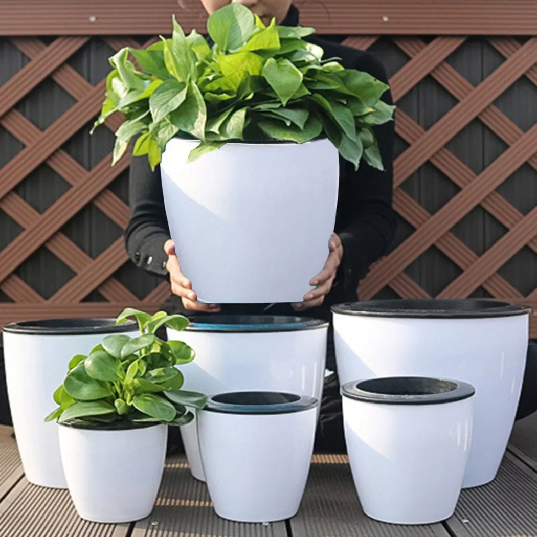 Lazy Flower Pot Self-Watering  - Aloe Vera Pot 评论和价格