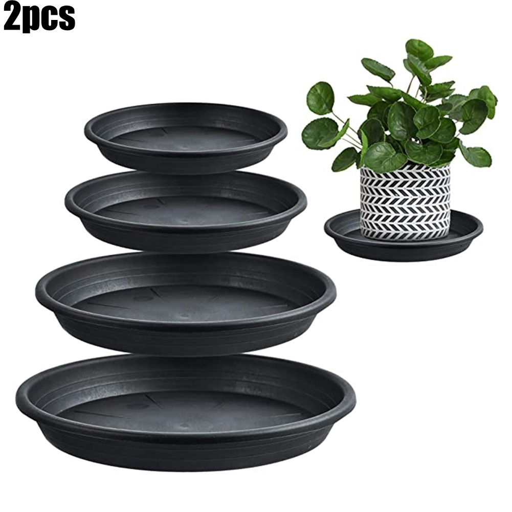 2pcs Plant Trays Round Succule - Echeveria Succulent 评论和价格