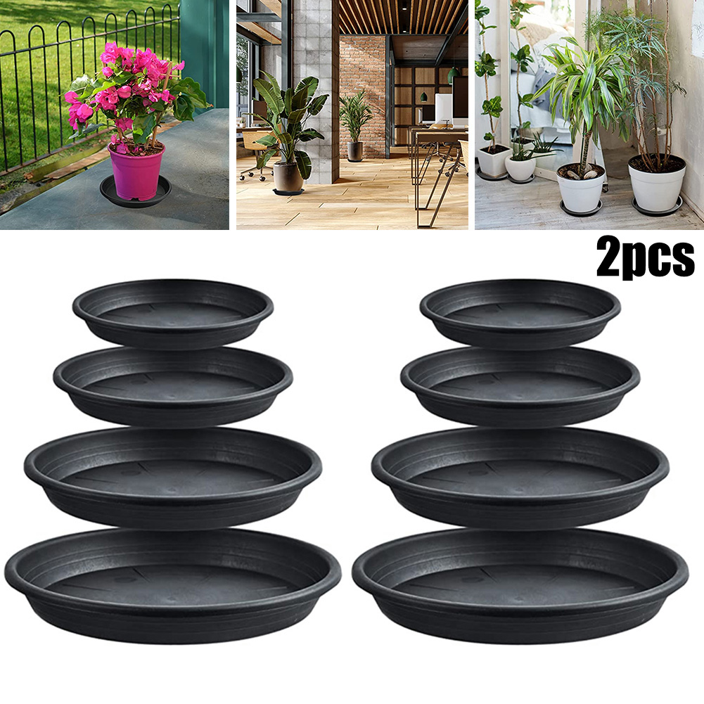 2pcs Plant Trays Round Succule - Echeveria Succulent 评论和价格