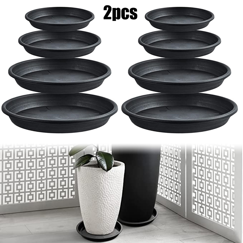 2pcs Plant Trays Round Succule - Echeveria Succulent 评论和价格