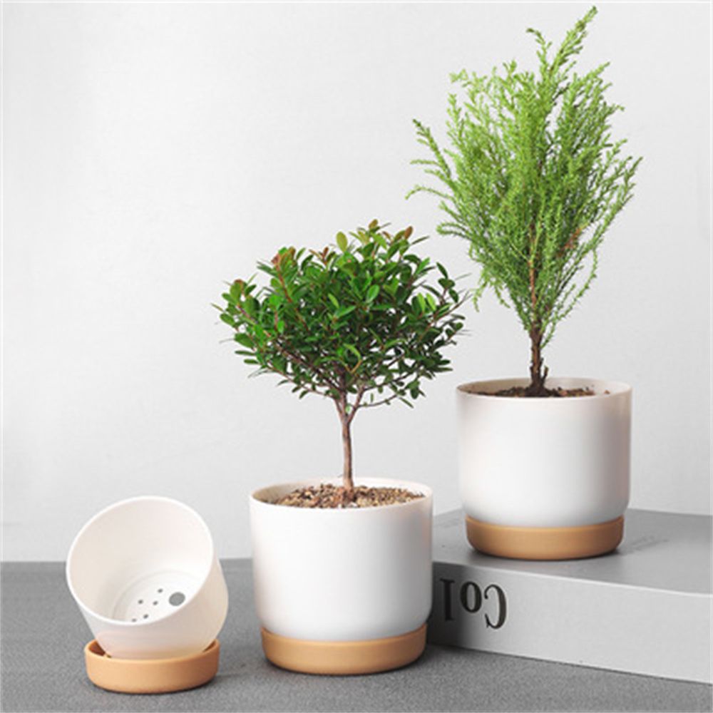 Round Green Plant Garden Suppl - Aloe Vera Pot 评论和价格