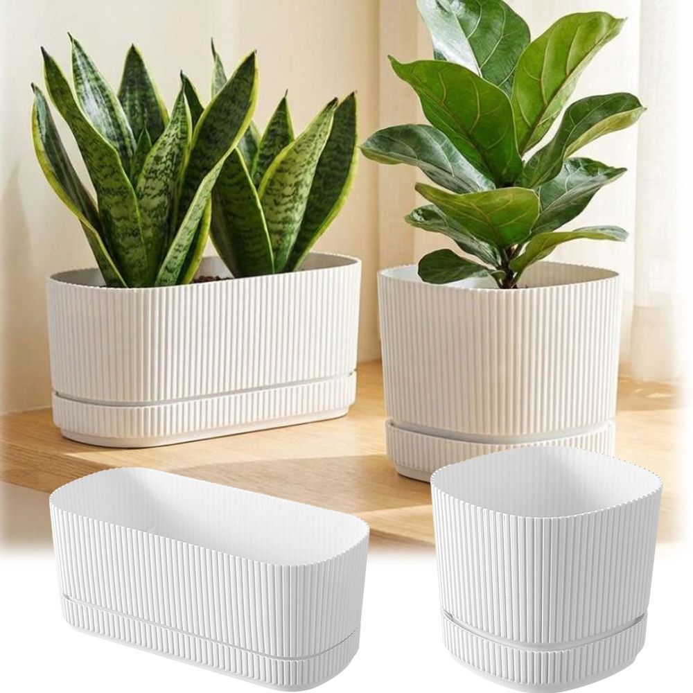 Plastic Self Watering Flower P - Aloe Vera Pot 评论和价格