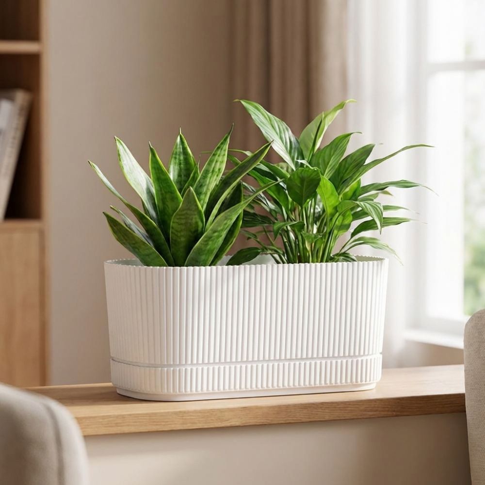 Plastic Self Watering Flower P - Aloe Vera Pot 评论和价格