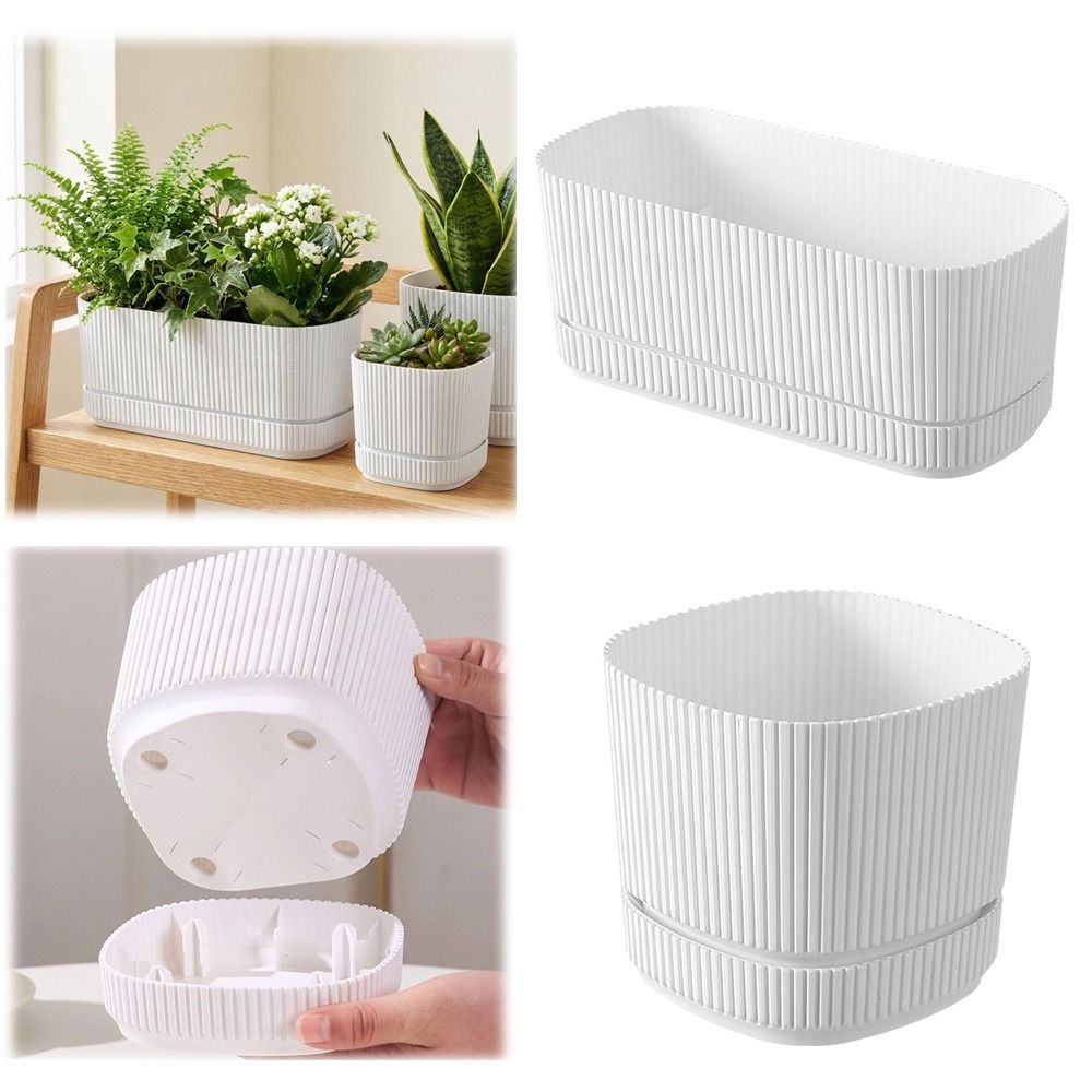 Plastic Self Watering Flower P - Aloe Vera Pot 评论和价格