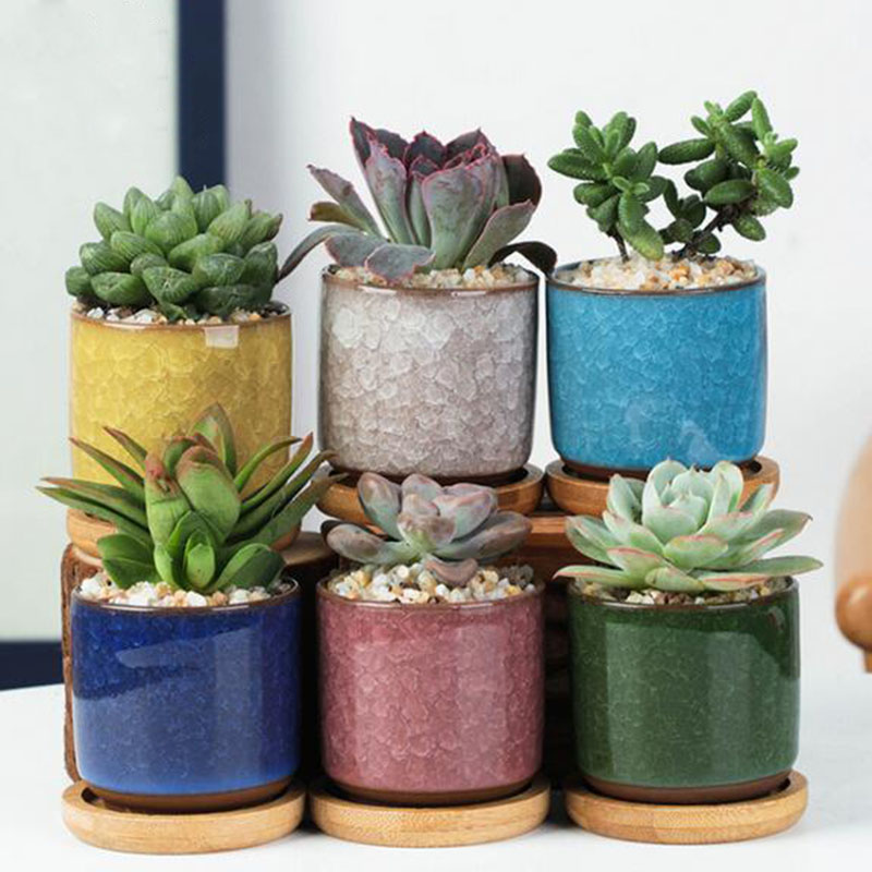 6pcs/set Ceramic Flowerpot Set - Aloe Vera Pot 评论和价格