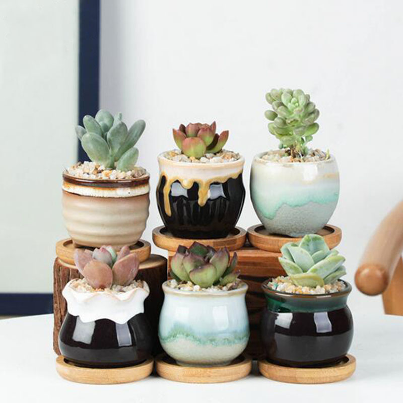 6pcs/set Ceramic Flowerpot Set - Aloe Vera Pot 评论和价格