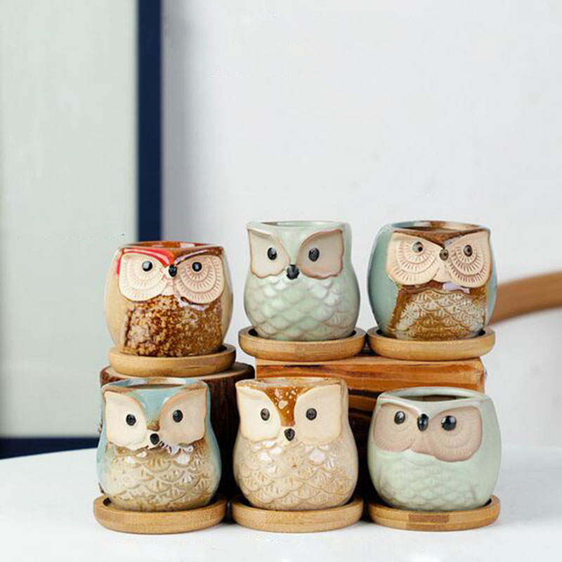6pcs/set Ceramic Flowerpot Set - Aloe Vera Pot 评论和价格