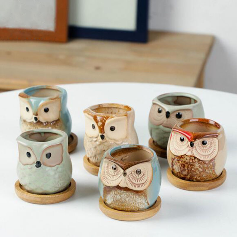 6pcs/set Ceramic Flowerpot Set - Aloe Vera Pot 评论和价格