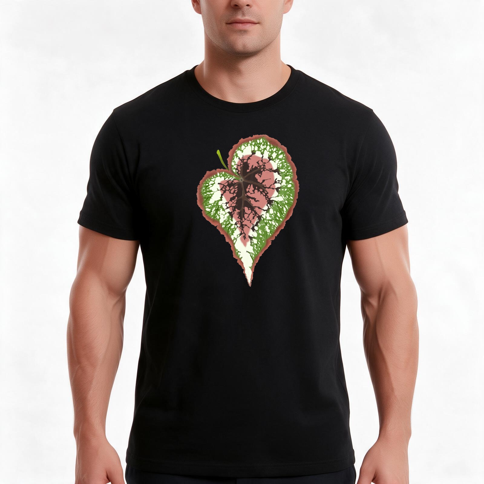 Begonia Rex T-Shirt, Summer Ca - Begonia Rex 评论和价格