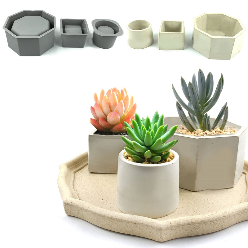 Handmade Succulent Planter Flo - Echeveria Succulent 评论和价格