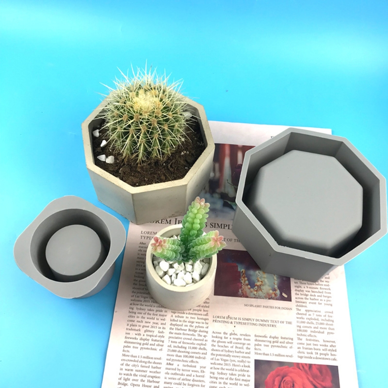 Handmade Succulent Planter Flo - Echeveria Succulent 评论和价格