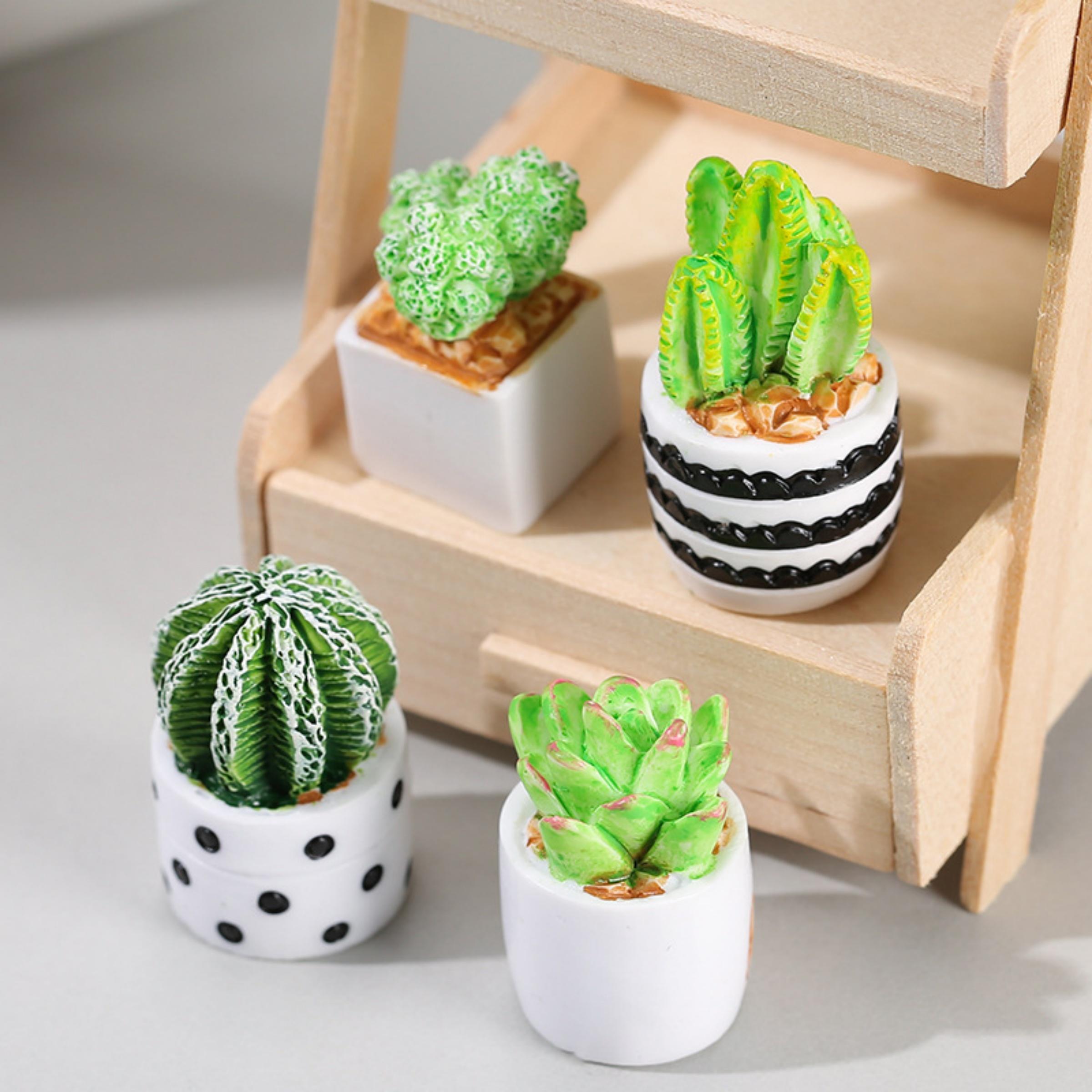 4-Piece Set of Cactus Succulen - Echeveria Succulent 评论和价格