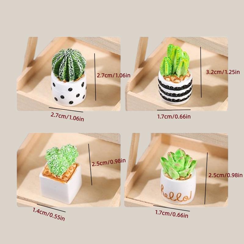 4-Piece Set of Cactus Succulen - Echeveria Succulent 评论和价格