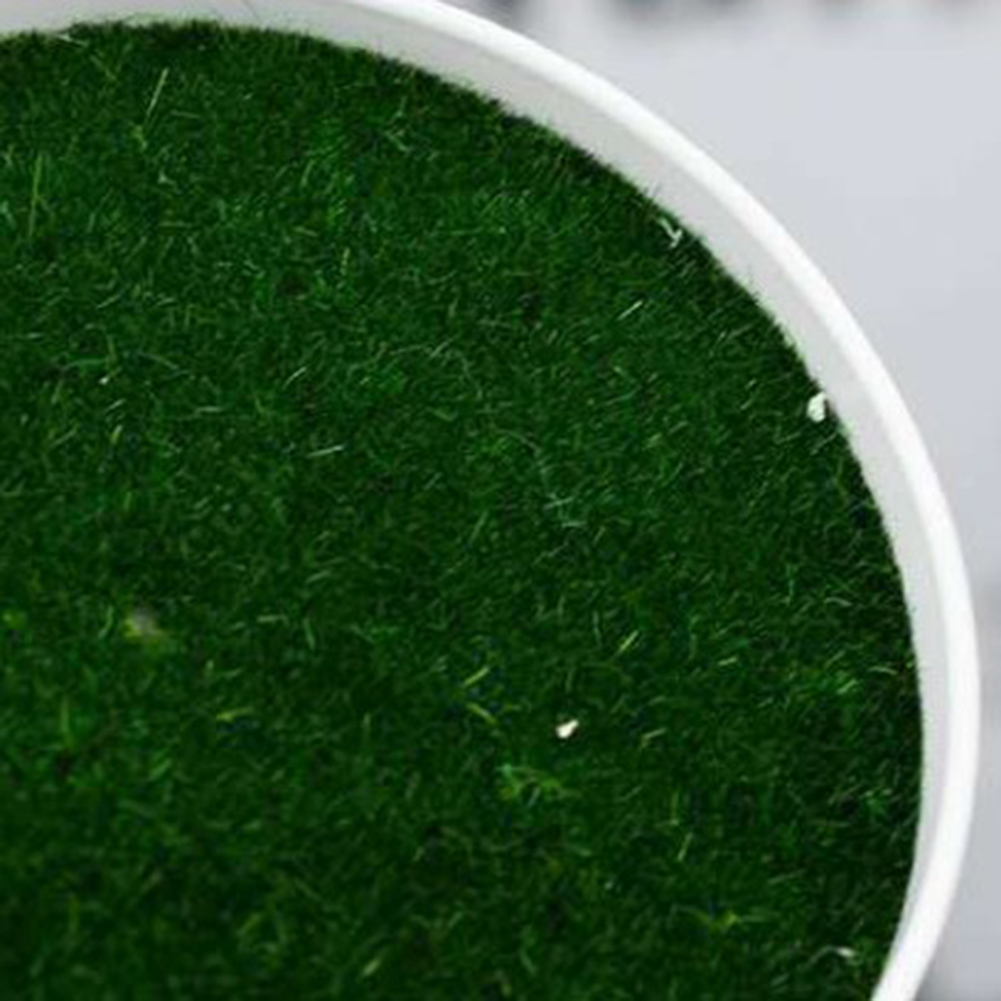 Artificial Pot Plants Pot Nurs - Aloe Vera Pot 评论和价格