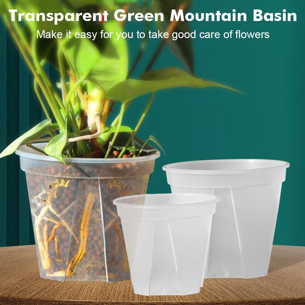 Transparent Plastic Pots Root  - Aloe Vera Pot 评论和价格