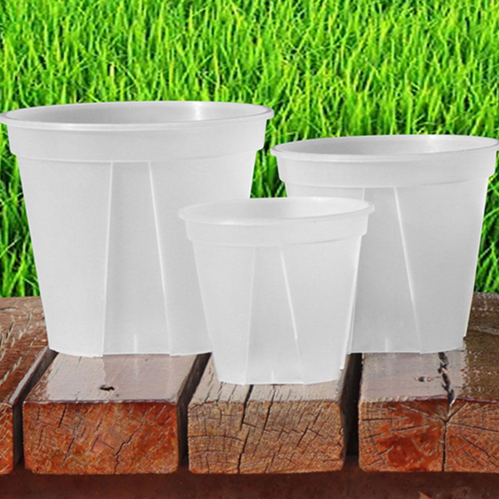 Transparent Plastic Pots Root  - Aloe Vera Pot 评论和价格