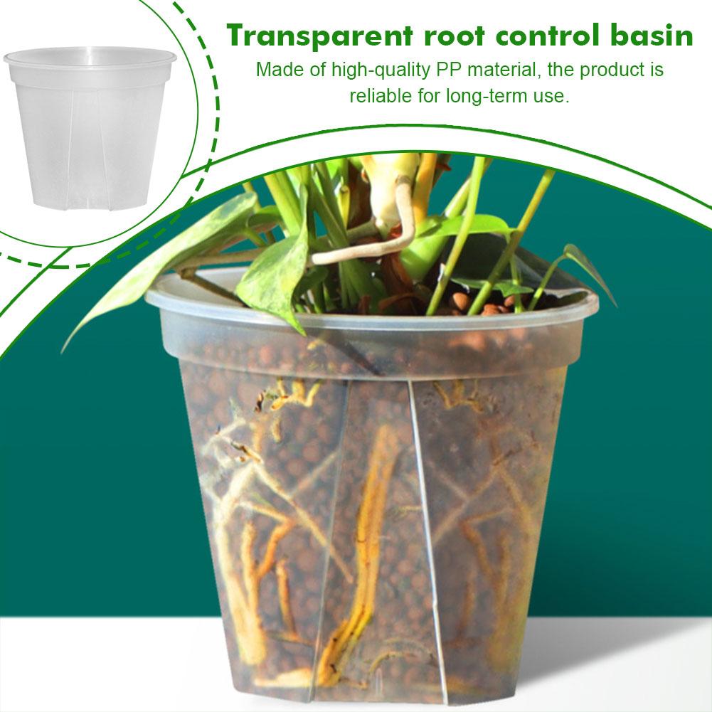 Transparent Plastic Pots Root  - Aloe Vera Pot 评论和价格